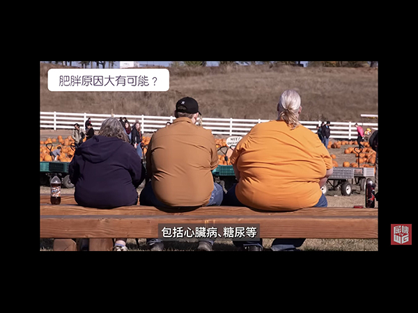 肥胖原因大有可能？