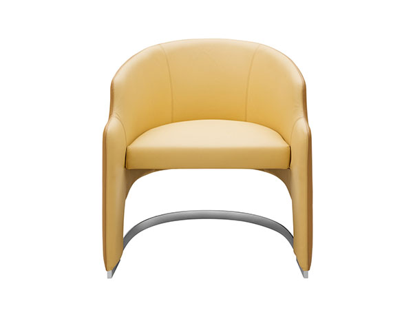 休閒椅/不銹鋼腳+真皮<br>	L690*W800*H760 <br>  L-SC 061